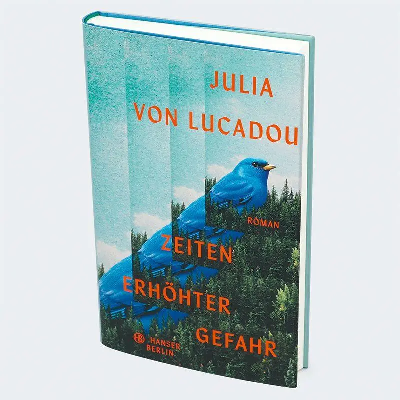 Bild: 9783446282995 | Zeiten erhöhter Gefahr | Roman | Julia von Lucadou | Buch | 224 S.