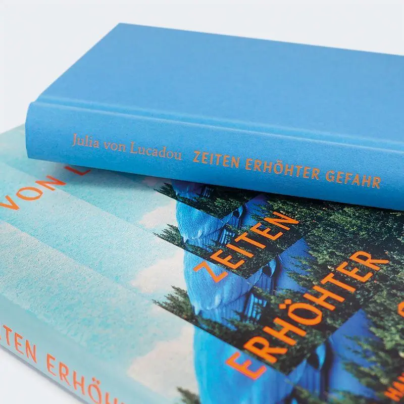 Bild: 9783446282995 | Zeiten erhöhter Gefahr | Roman | Julia von Lucadou | Buch | 224 S.