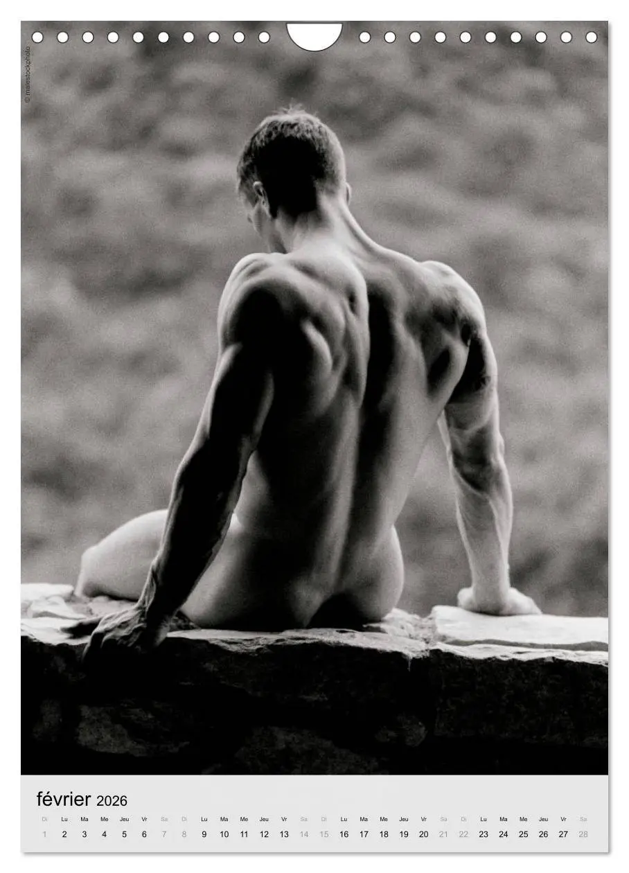 Bild: 9783516572995 | contrastes hommes (Calendrier mural 2026 DIN A4 horizontal),...