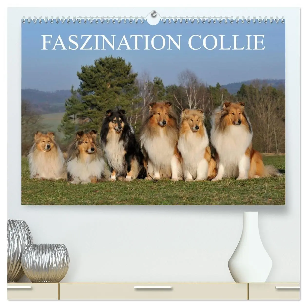 Cover: 9783594172995 | Faszination Collie 2027 (hochwertiger Premium Wandkalender 2027 DIN...