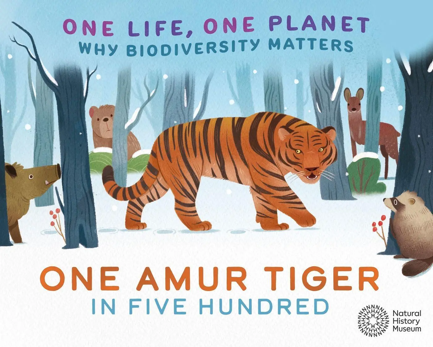 Cover: 9781526323095 | ONE LIFE ONE PLANET ONE SIBERIAN TIGE | SARAH RIDLEY | Buch | Gebunden