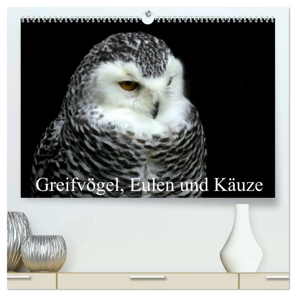 Cover: 9783457993095 | Greifvögel, Eulen und Käuze (hochwertiger Premium Wandkalender 2026...