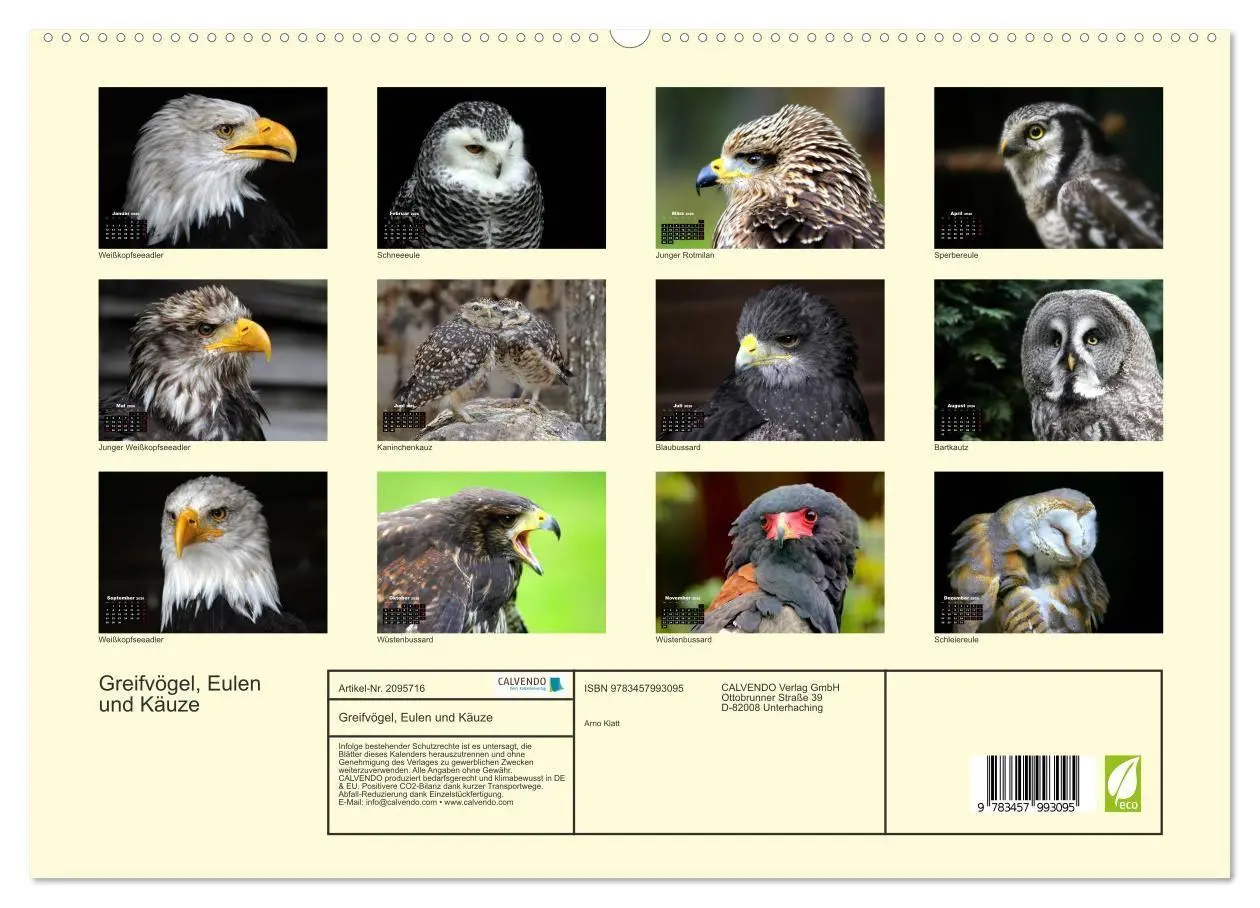 Bild: 9783457993095 | Greifvögel, Eulen und Käuze (hochwertiger Premium Wandkalender 2026...