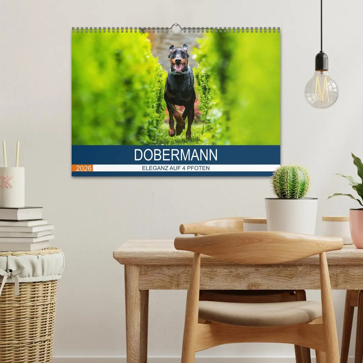 Bild: 9783516083095 | Dobermann 2026 (Wandkalender 2026 DIN A3 quer), CALVENDO...