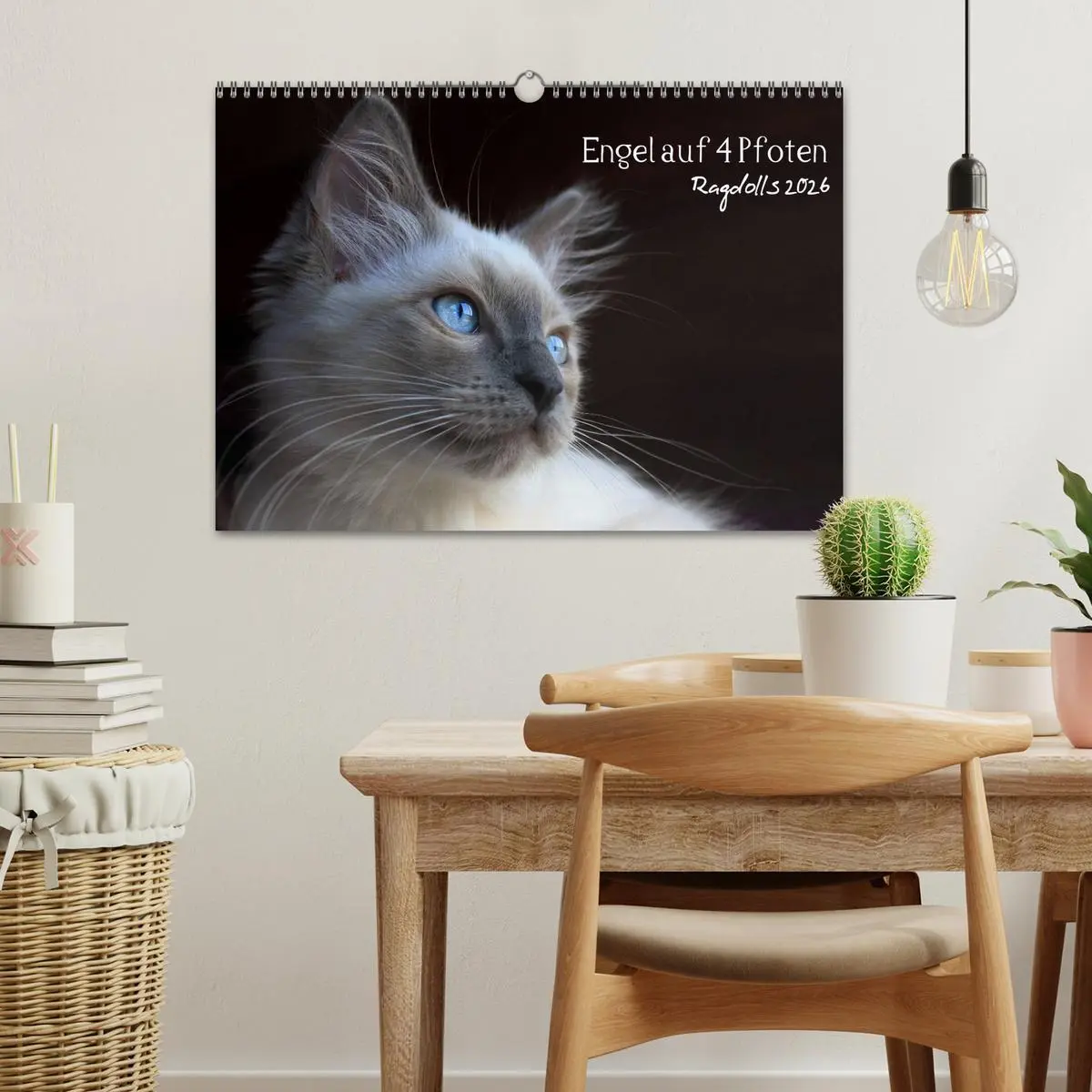 Bild: 9783516153095 | Engel auf 4 Pfoten - Ragdolls 2026 (Wandkalender 2026 DIN A3 quer),...