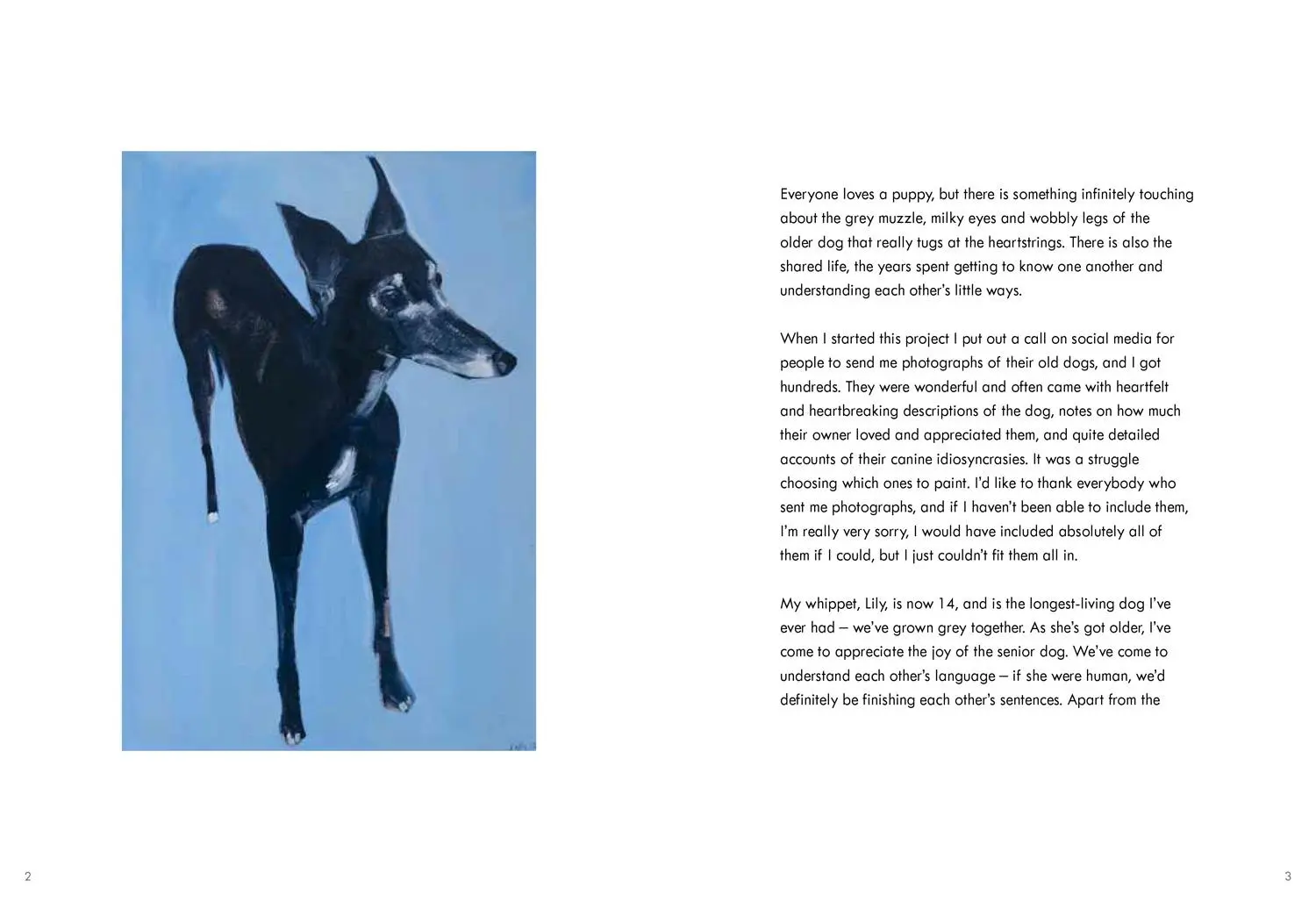Bild: 9781911663195 | Old Dogs | Sally Muir | Buch | 128 S. | Englisch | 2021