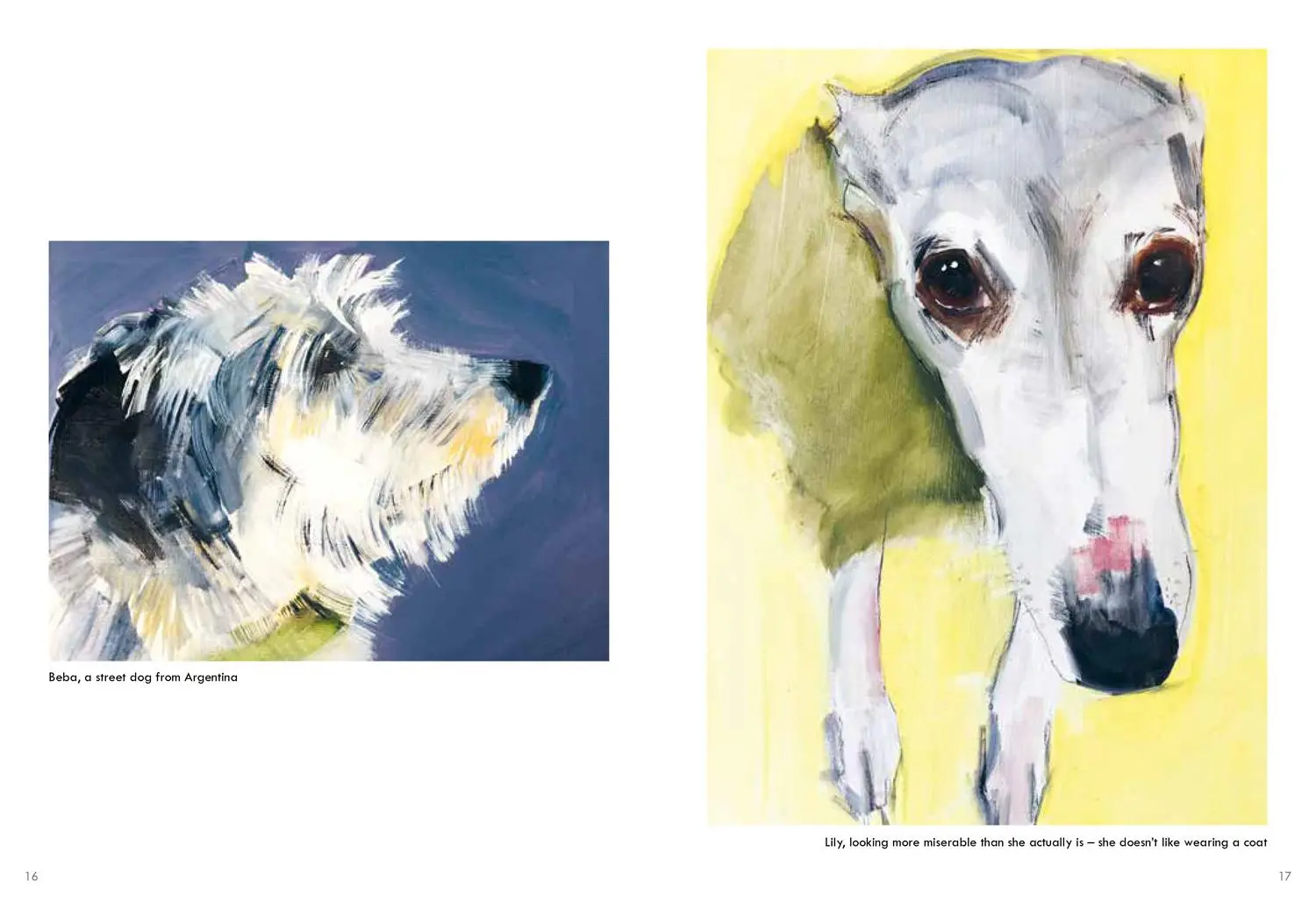 Bild: 9781911663195 | Old Dogs | Sally Muir | Buch | 128 S. | Englisch | 2021
