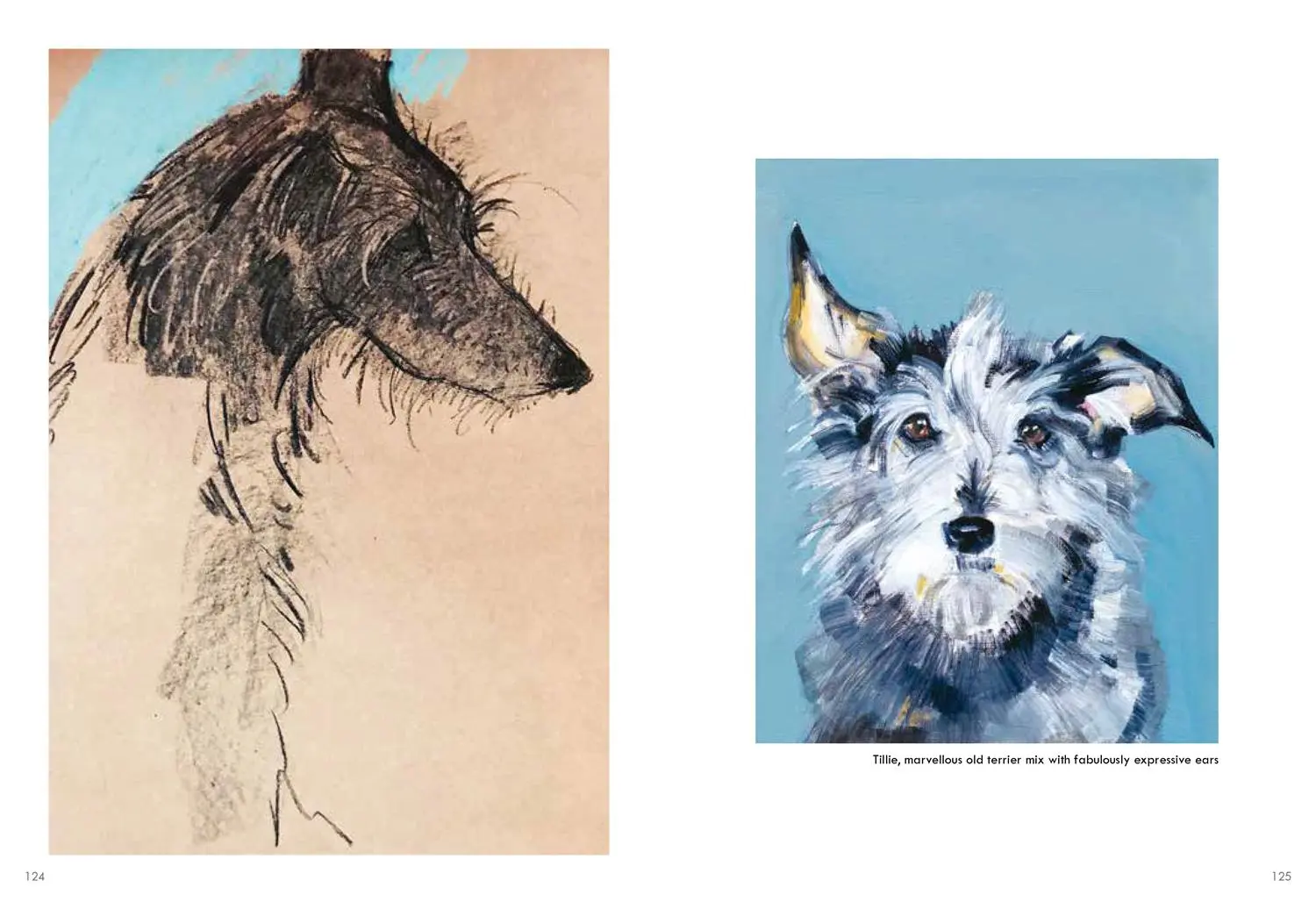 Bild: 9781911663195 | Old Dogs | Sally Muir | Buch | 128 S. | Englisch | 2021