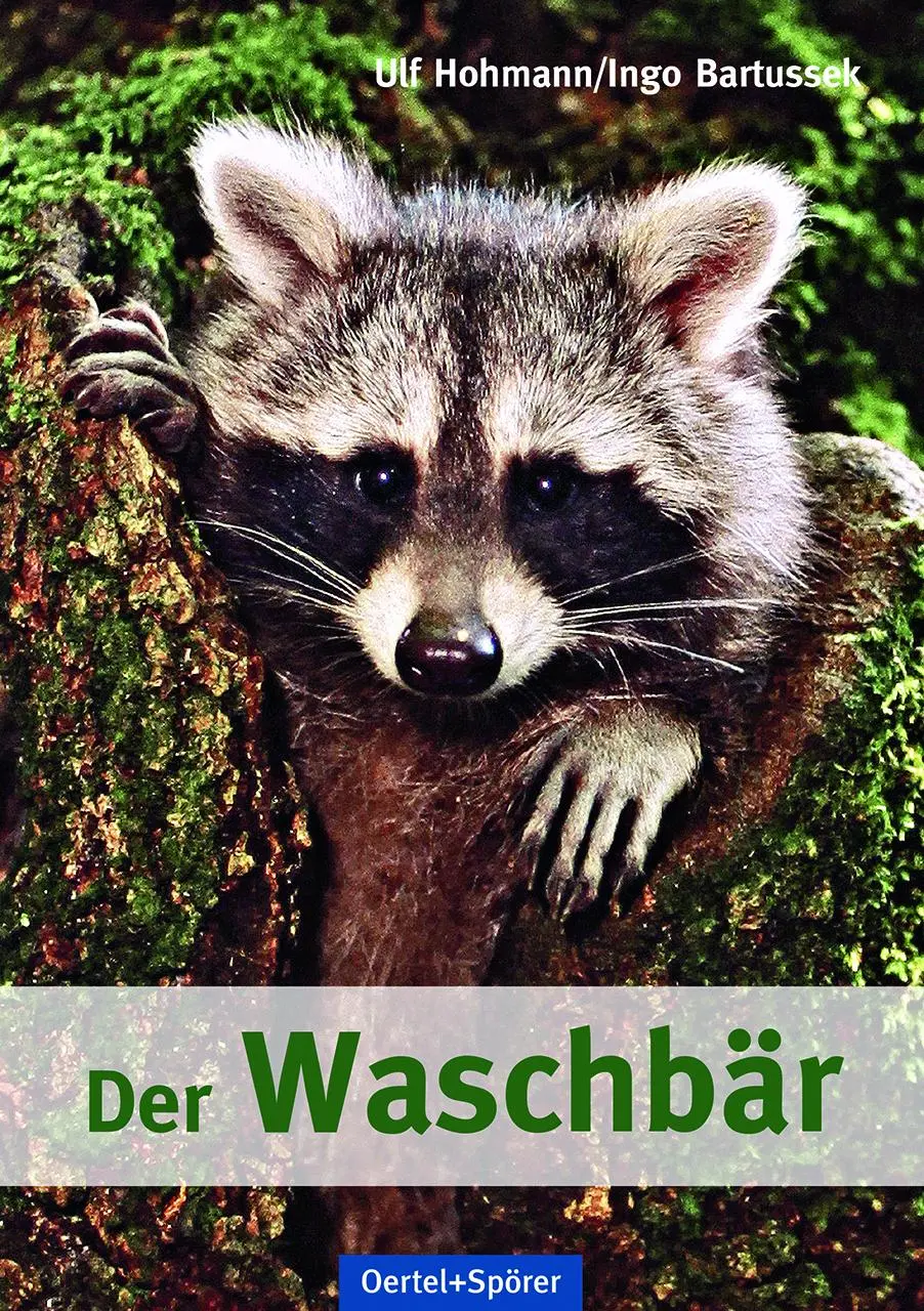 Cover: 9783886273195 | Der Waschbär | Ulf Hohmann (u. a.) | Taschenbuch | 200 S. | Deutsch
