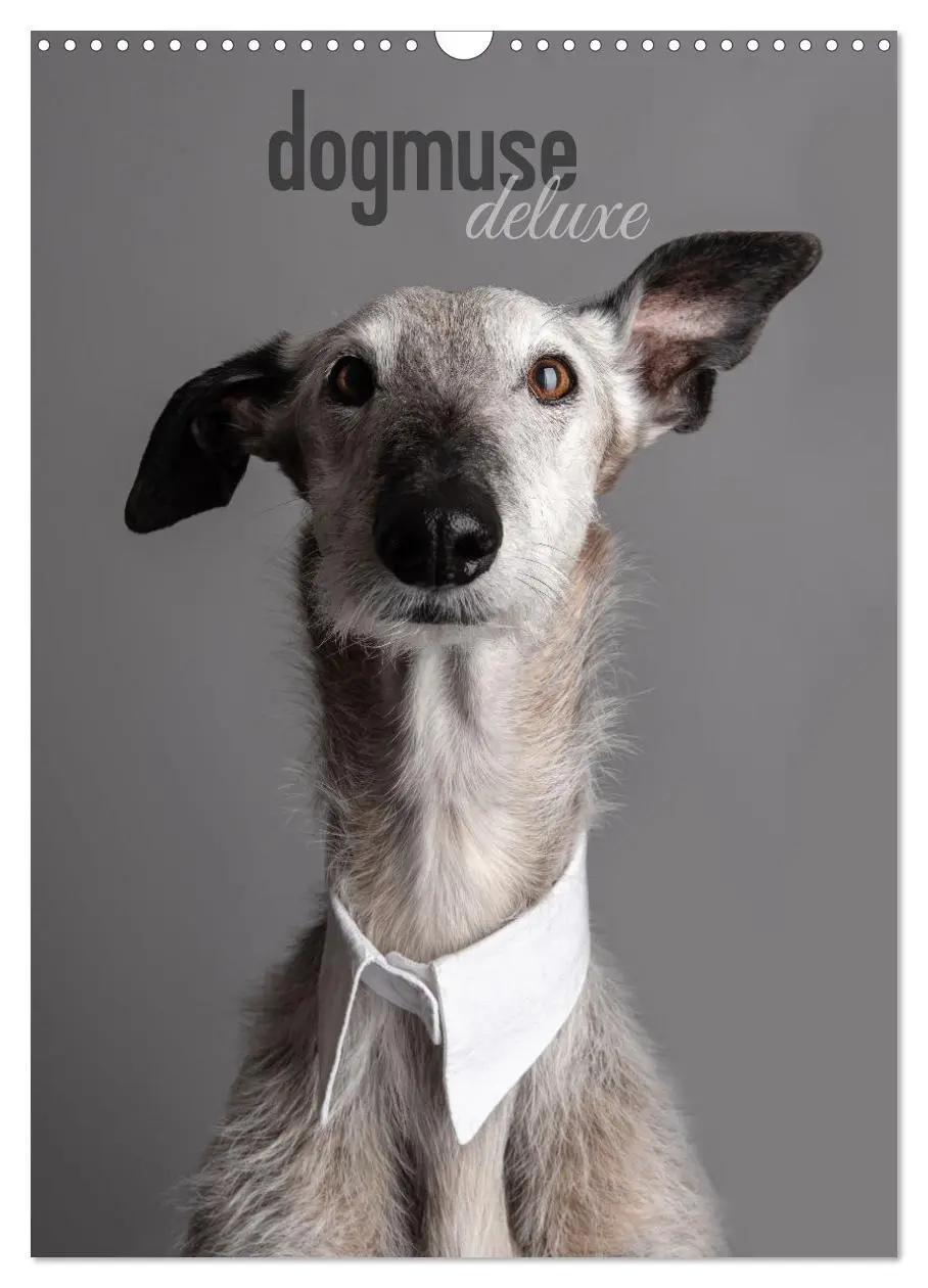 Cover: 9783569533295 | dogmuse deluxe (Wandkalender 2027 DIN A3 hoch), CALVENDO...