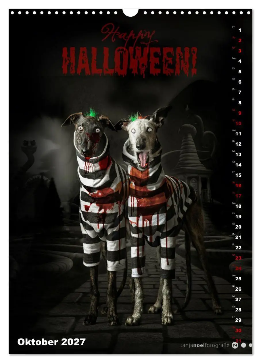 Bild: 9783569533295 | dogmuse deluxe (Wandkalender 2027 DIN A3 hoch), CALVENDO...