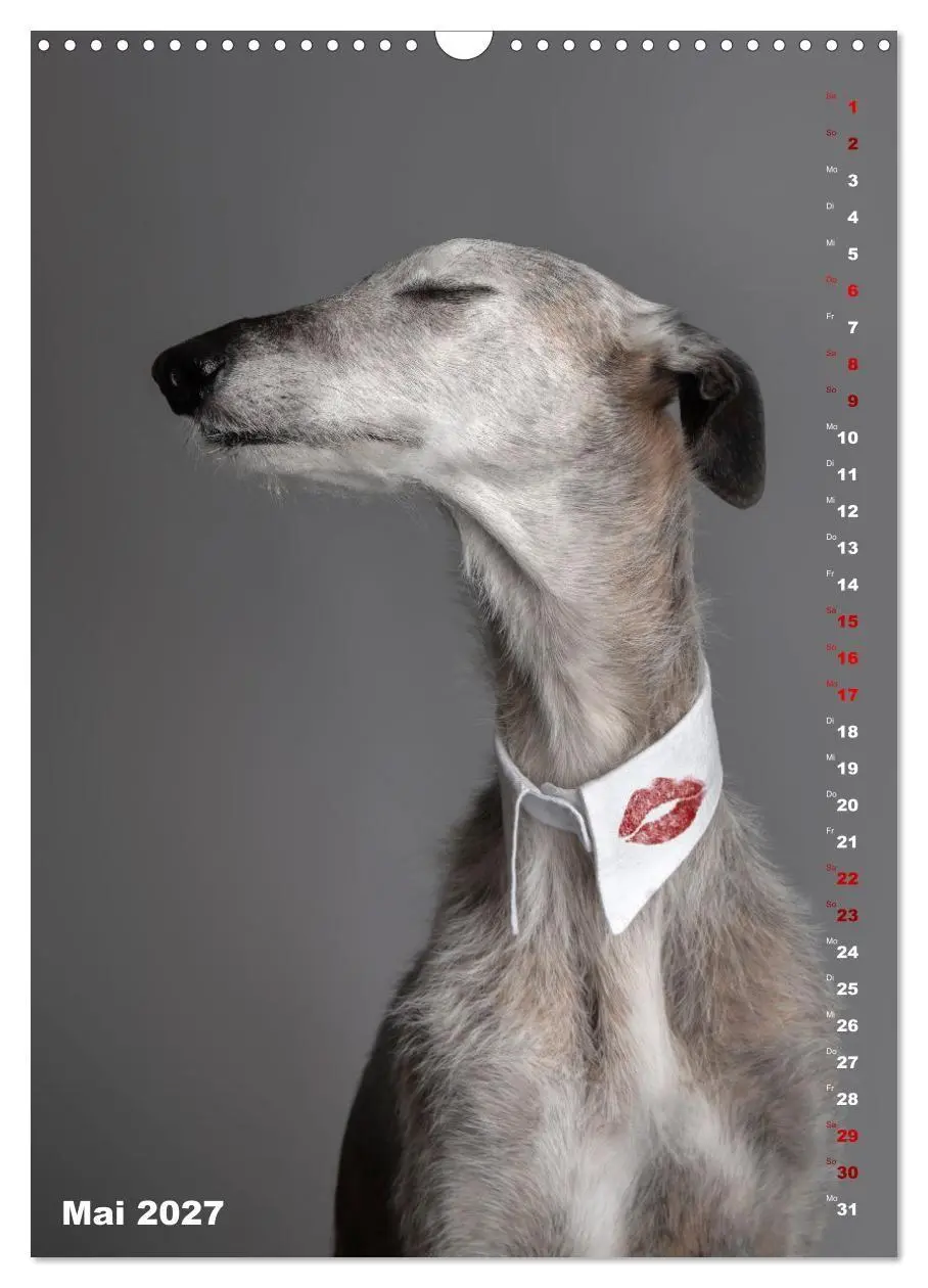 Bild: 9783569533295 | dogmuse deluxe (Wandkalender 2027 DIN A3 hoch), CALVENDO...
