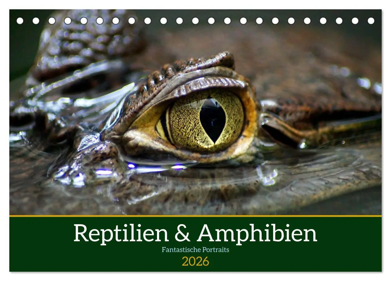 Cover: 9783457583395 | Reptilien &amp; Amphibien Portraits (Tischkalender 2026 DIN A5 quer),...