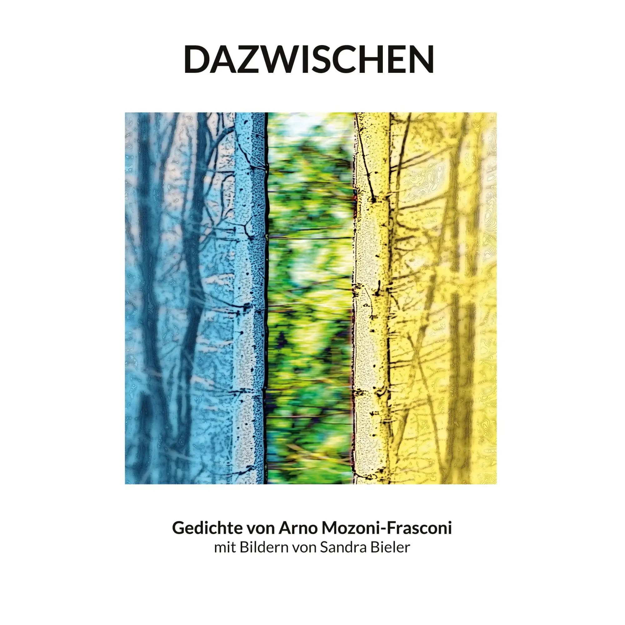 Cover: 9783696313395 | Dazwischen | Gedichte von Arno Mozoni-Frasconi | Arno Mozoni-Frasconi