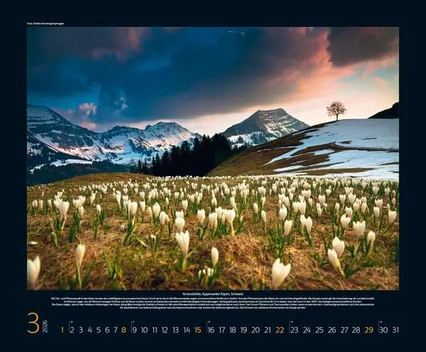 Bild: 9783731883395 | Bedrohte Naturparadiese 2026 | Verlag Korsch | Kalender | 14 S. | 2026