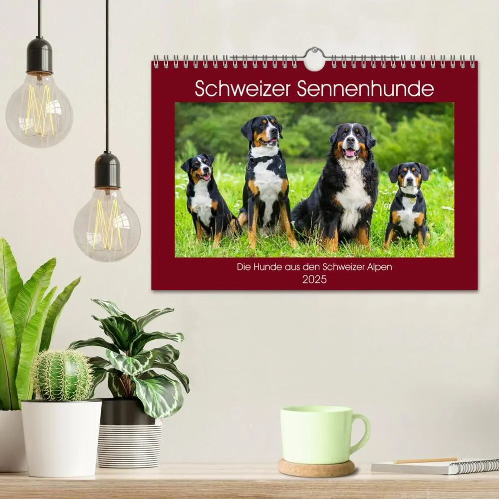 Bild: 9783435313495 | Schweizer Sennenhunde - die Hunde aus den Schweizer Alpen...