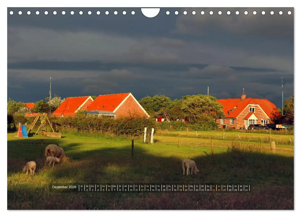 Bild: 9783457573495 | Mandø - Perle im dänischen Wattenmeer (Wandkalender 2026 DIN A4...