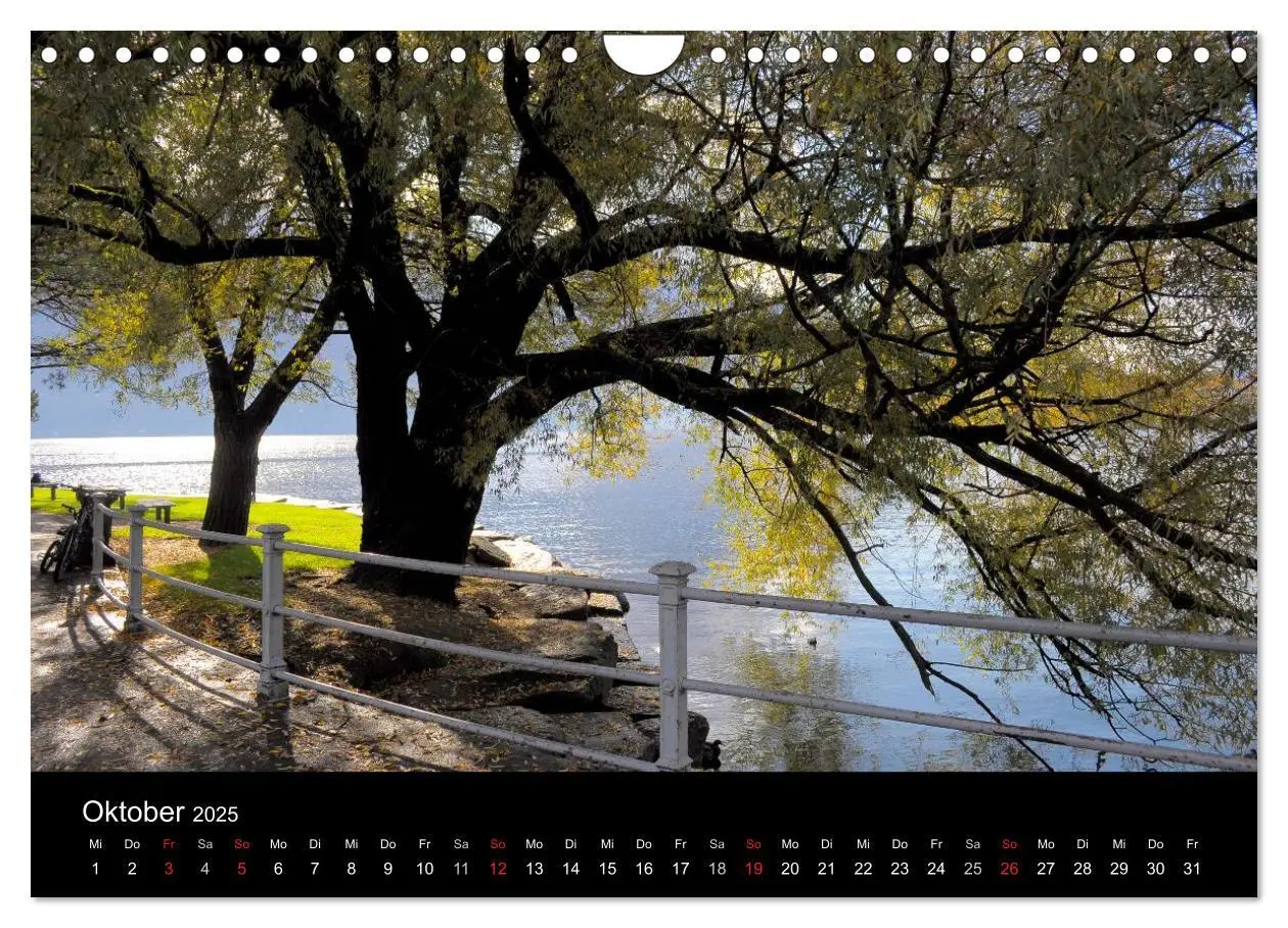 Bild: 9783435783595 | Bäume 2025 (Wandkalender 2025 DIN A4 quer), CALVENDO Monatskalender