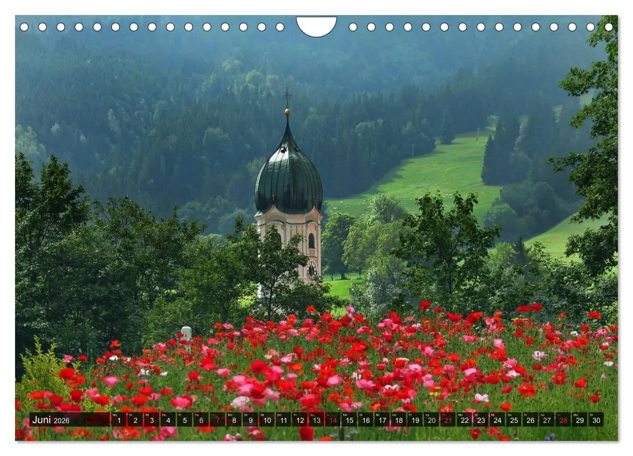 Bild: 9783516103595 | Ein Jahr im Allgäu (Wandkalender 2026 DIN A4 quer), CALVENDO...