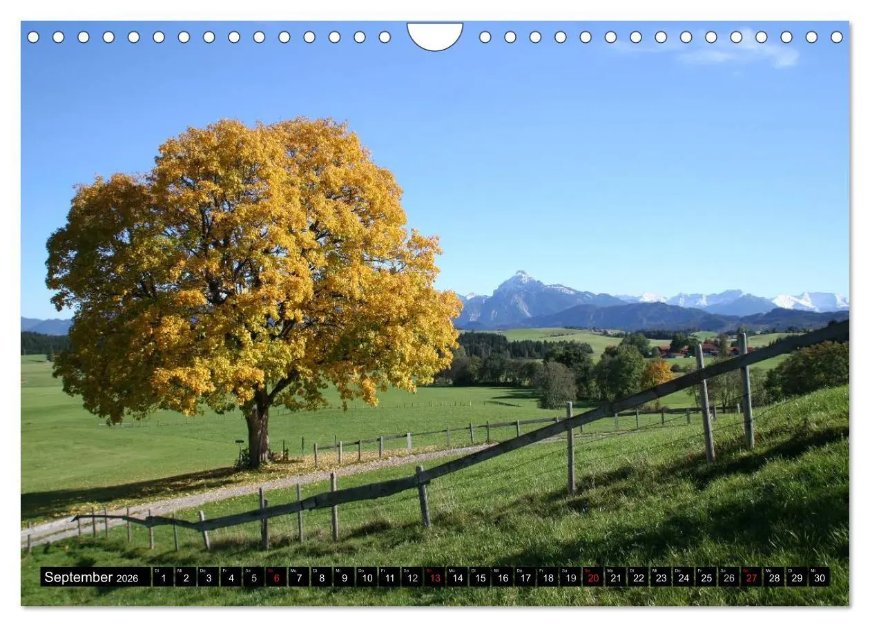 Bild: 9783516103595 | Ein Jahr im Allgäu (Wandkalender 2026 DIN A4 quer), CALVENDO...