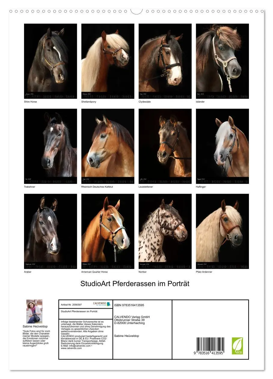 Bild: 9783516413595 | StudioArt Pferderassen im Porträt (hochwertiger Premium...