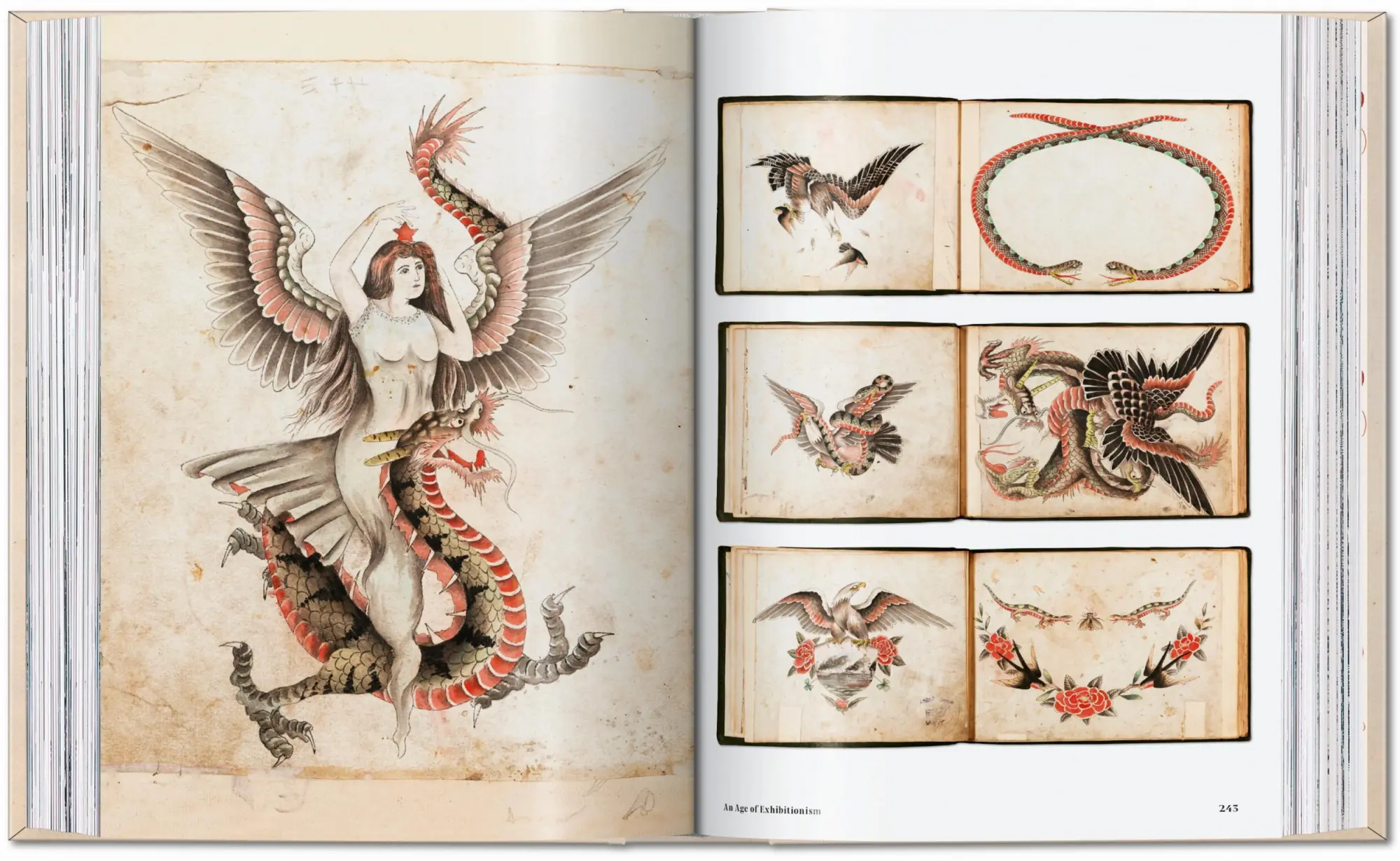 Bild: 9783836593595 | TATTOO. 1730s-1970s. Henk Schiffmacher's Private Collection. 45th Ed.