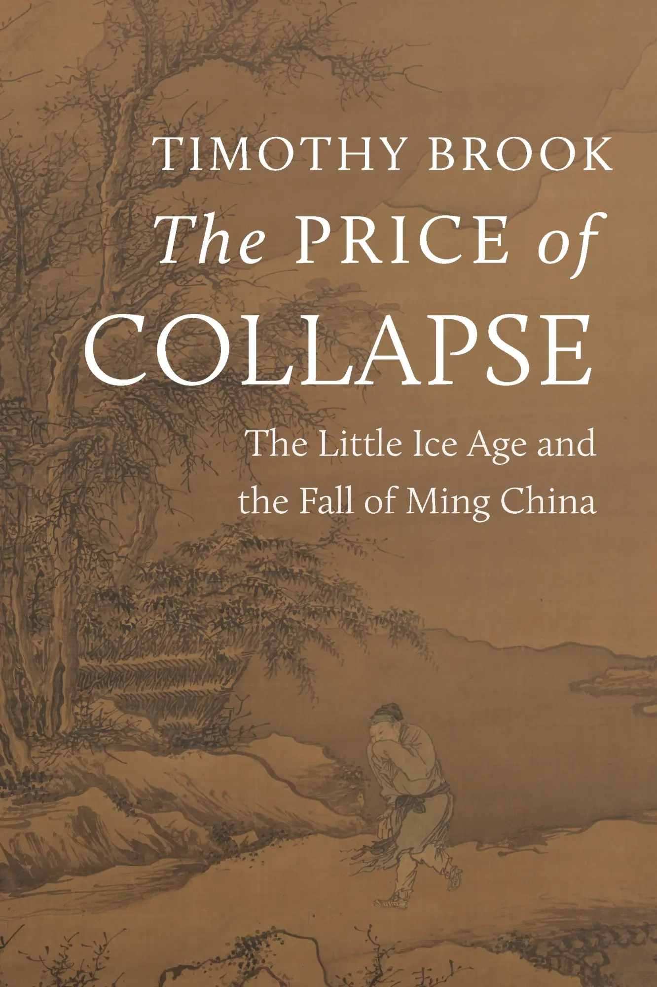 Cover: 9780691253695 | The Price of Collapse | The Little Ice Age and the Fall of Ming China