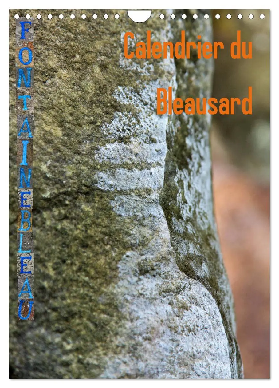 Cover: 9783516563795 | Calendrier du Bleausard (Calendrier mural 2026 DIN A4 horizontal),...