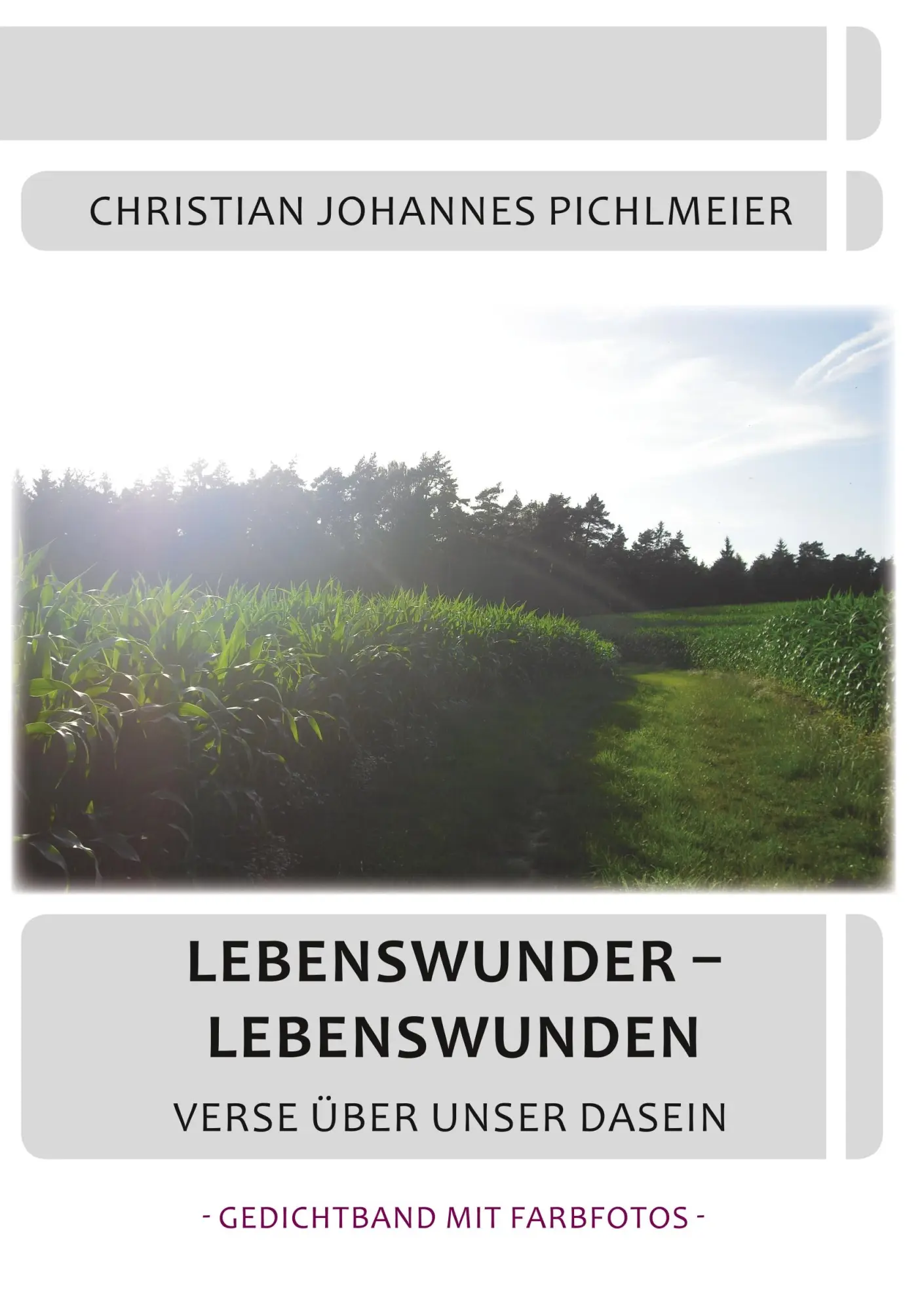Cover: 9783868703795 | Lebenswunder - Lebenswunden | Christian Johannes Pichlmeier | Buch