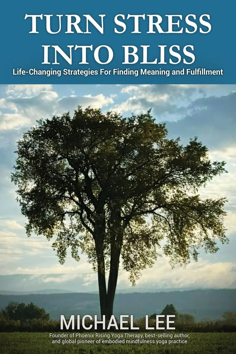 Cover: 9781966903895 | TURN STRESS INTO BLISS | Michael Lee | Taschenbuch | Englisch | 2025