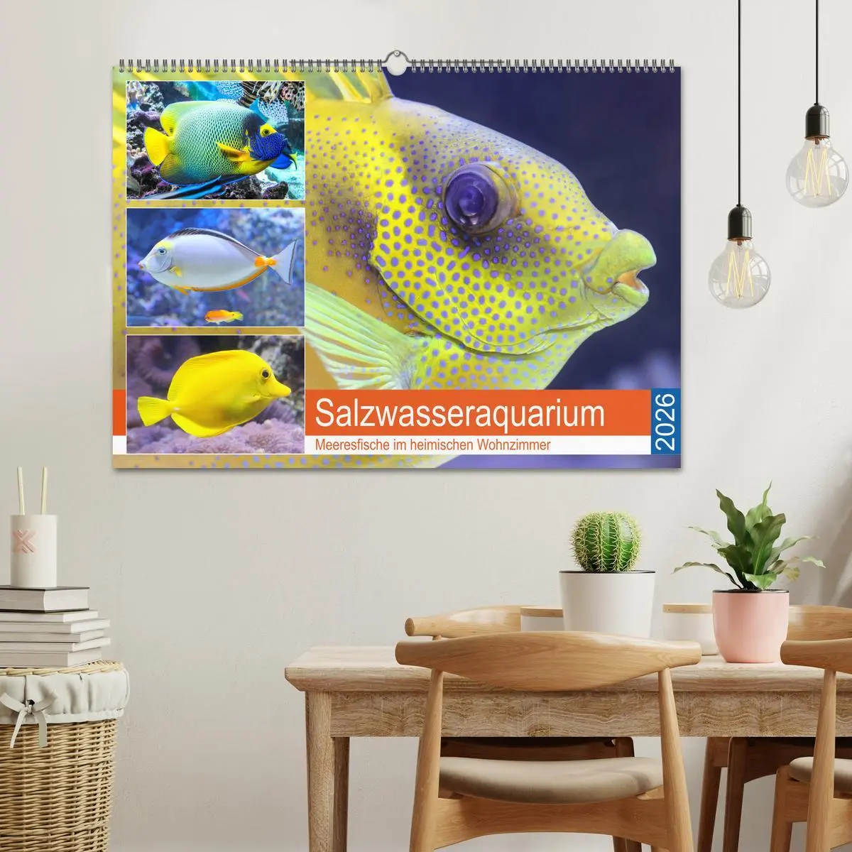 Bild: 9783457773895 | Salzwasseraquarium. Meeresfische im heimischen Wohnzimmer...