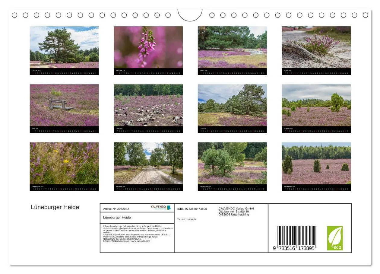 Bild: 9783516173895 | Lüneburger Heide (Wandkalender 2026 DIN A4 quer), CALVENDO...