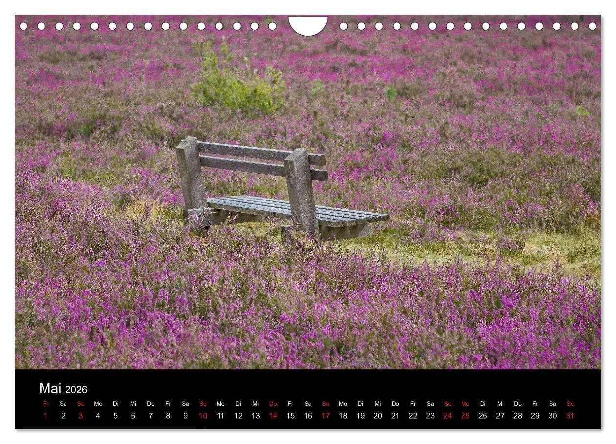 Bild: 9783516173895 | Lüneburger Heide (Wandkalender 2026 DIN A4 quer), CALVENDO...