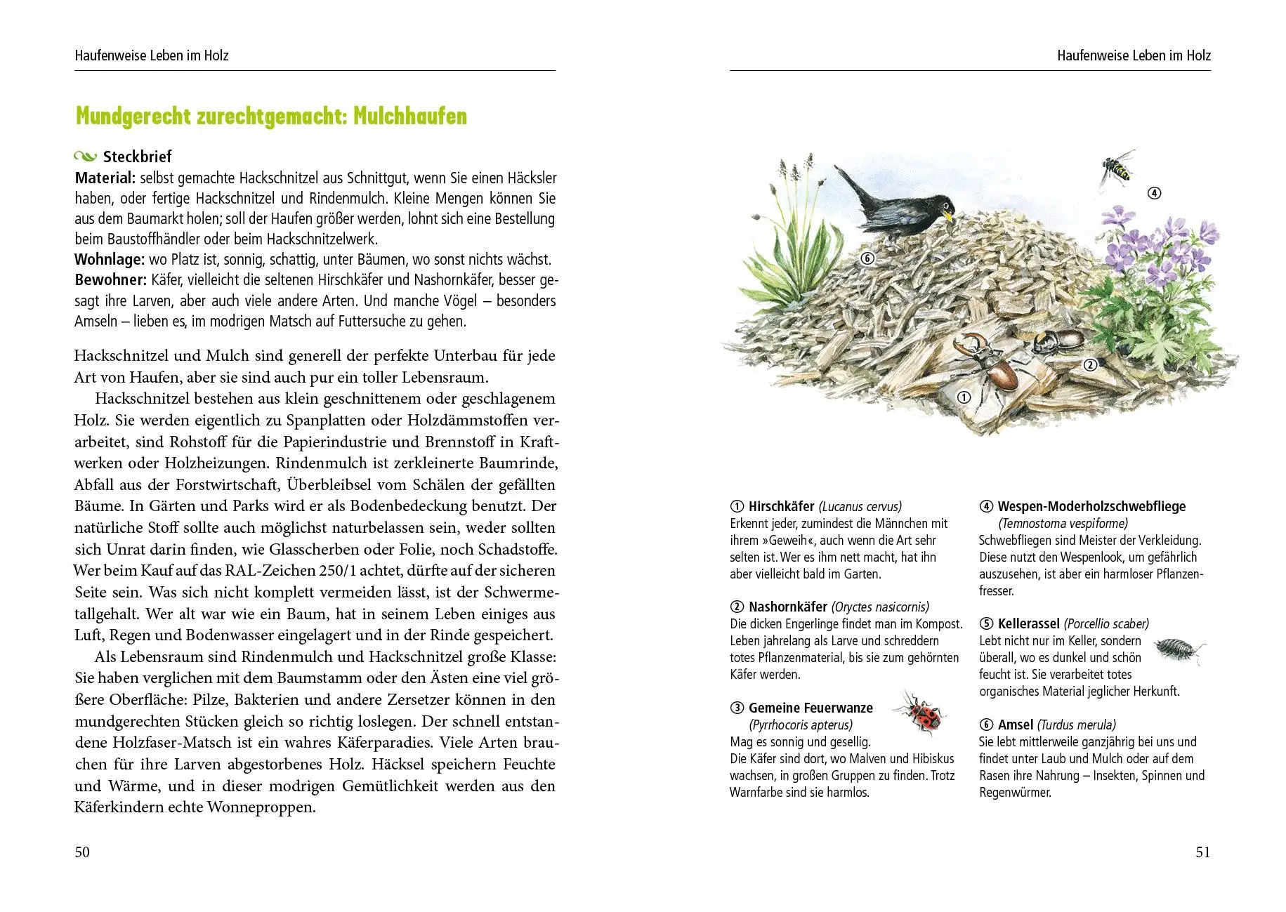 Bild: 9783895663895 | Haufenweise Lebensräume | Sigrid Tinz | Buch | 192 S. | Deutsch | 2019