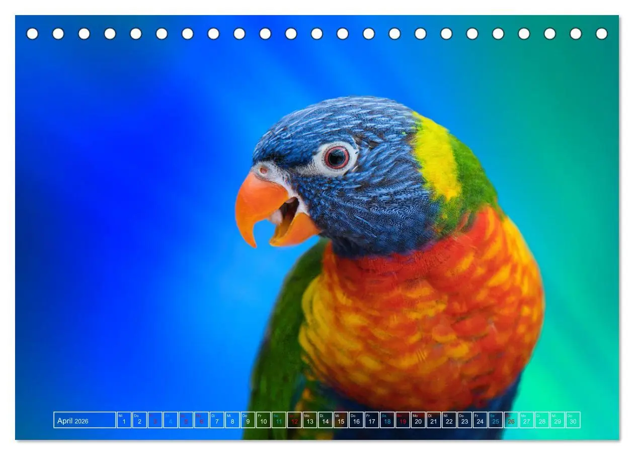 Bild: 9783457523995 | Die bunte Welt der Vögel (Tischkalender 2026 DIN A5 quer), CALVENDO...