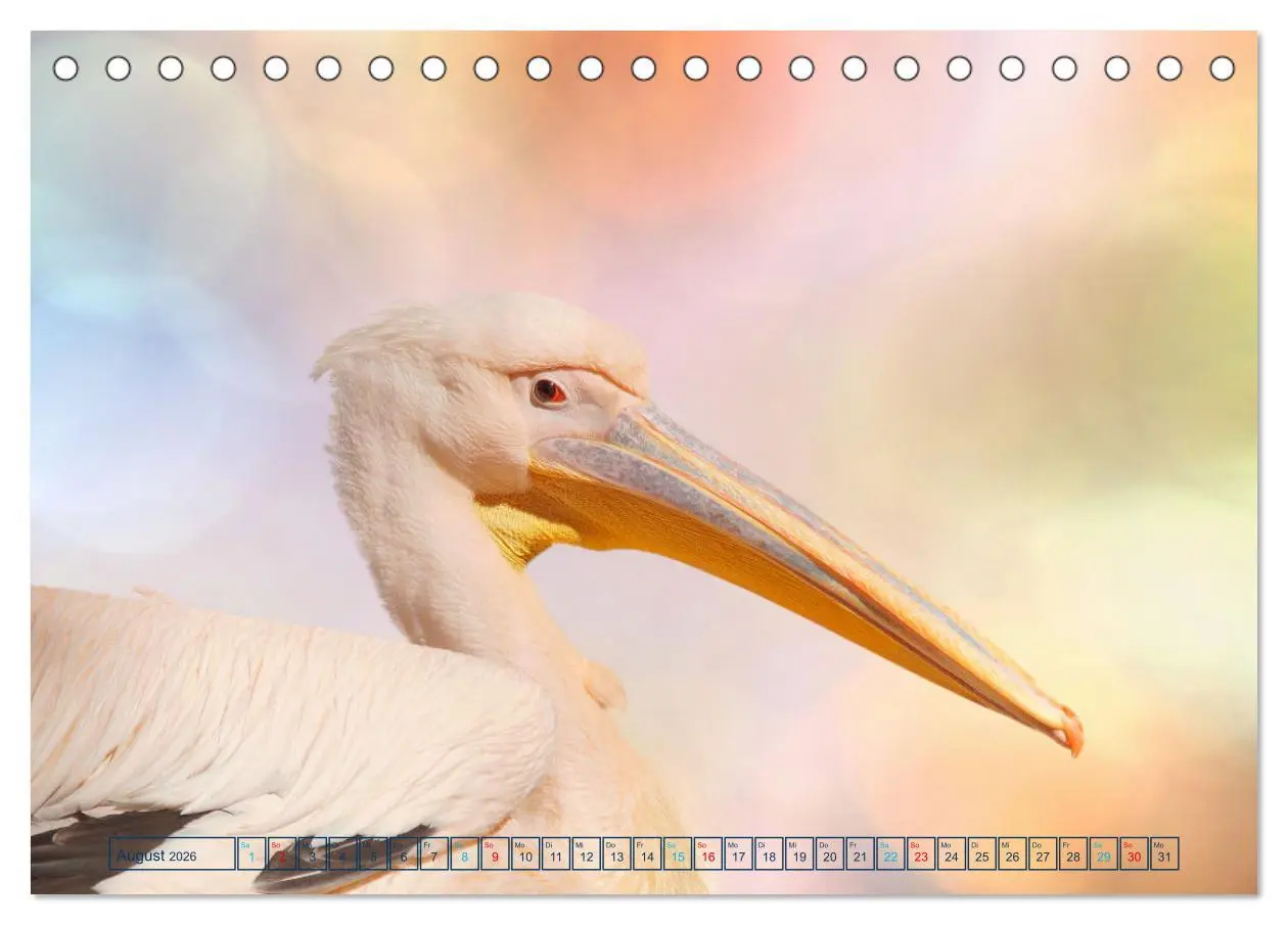 Bild: 9783457523995 | Die bunte Welt der Vögel (Tischkalender 2026 DIN A5 quer), CALVENDO...