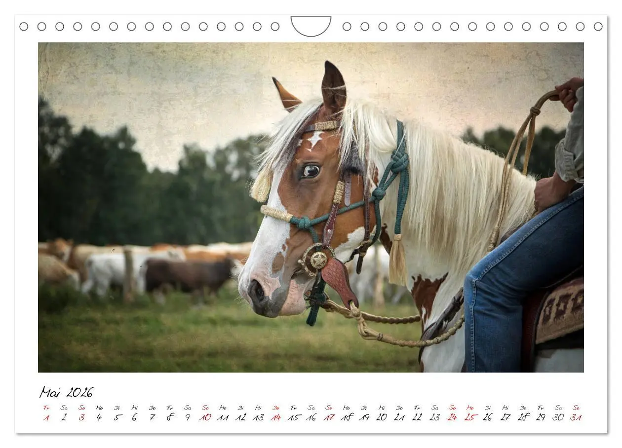 Bild: 9783457903995 | Mecklenburgs Wilder Westen (Wandkalender 2026 DIN A4 quer),...