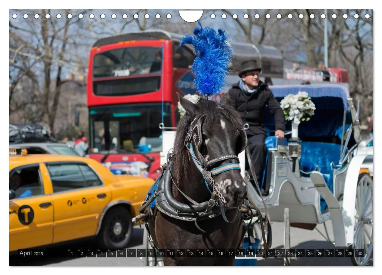 Bild: 9783516163995 | New York (Wandkalender 2026 DIN A4 quer), CALVENDO Monatskalender