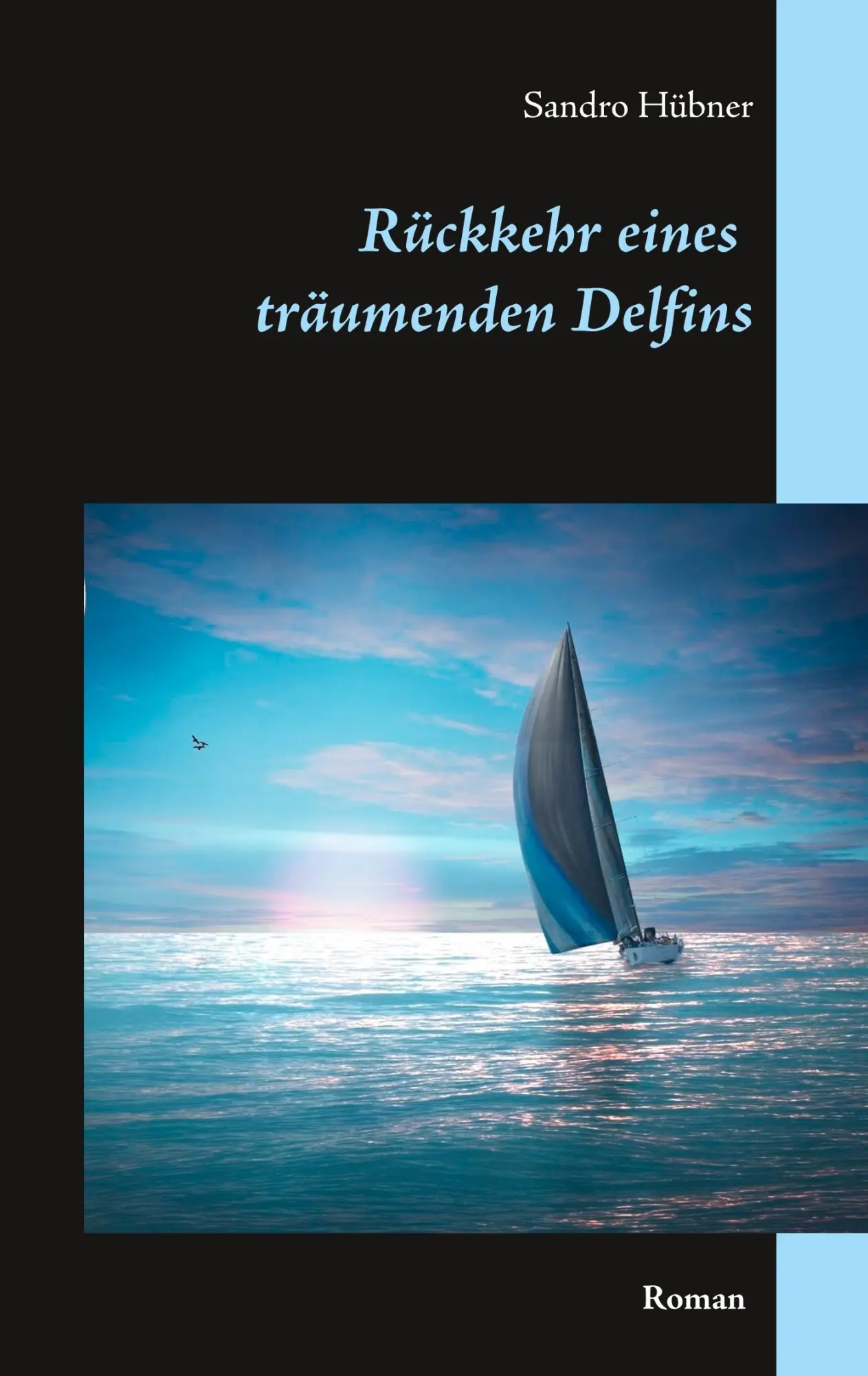 Cover: 9783740733995 | Rückkehr eines träumenden Delfins | Sandro Hübner | Taschenbuch | 2017