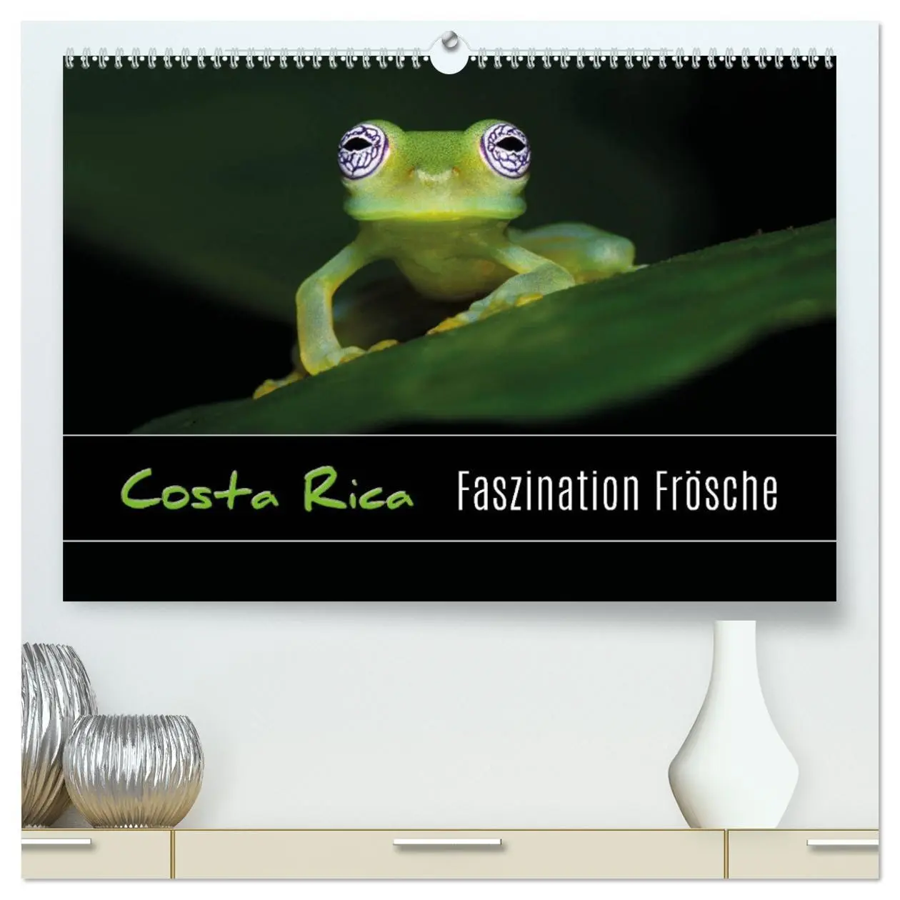 Cover: 9783457964095 | Costa Rica - Faszination Frösche (hochwertiger Premium Wandkalender...