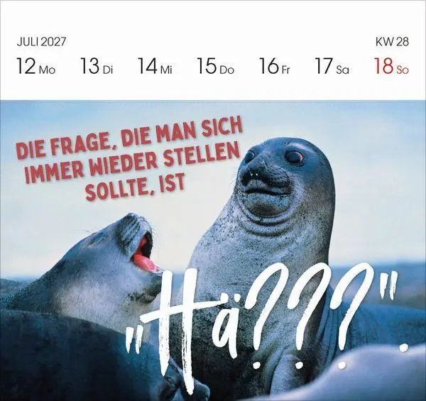 Bild: 9783819304095 | Lieber verrückt das Leben genießen 2027 | Korsch Verlag | Kalender