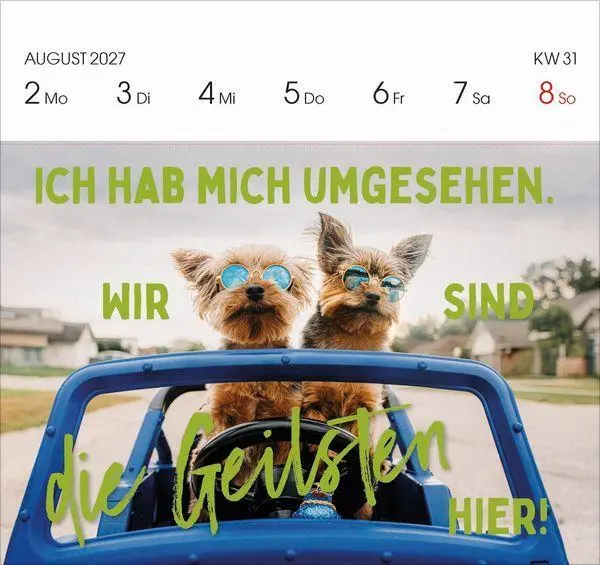 Bild: 9783819304095 | Lieber verrückt das Leben genießen 2027 | Korsch Verlag | Kalender