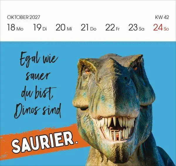 Bild: 9783819304095 | Lieber verrückt das Leben genießen 2027 | Korsch Verlag | Kalender
