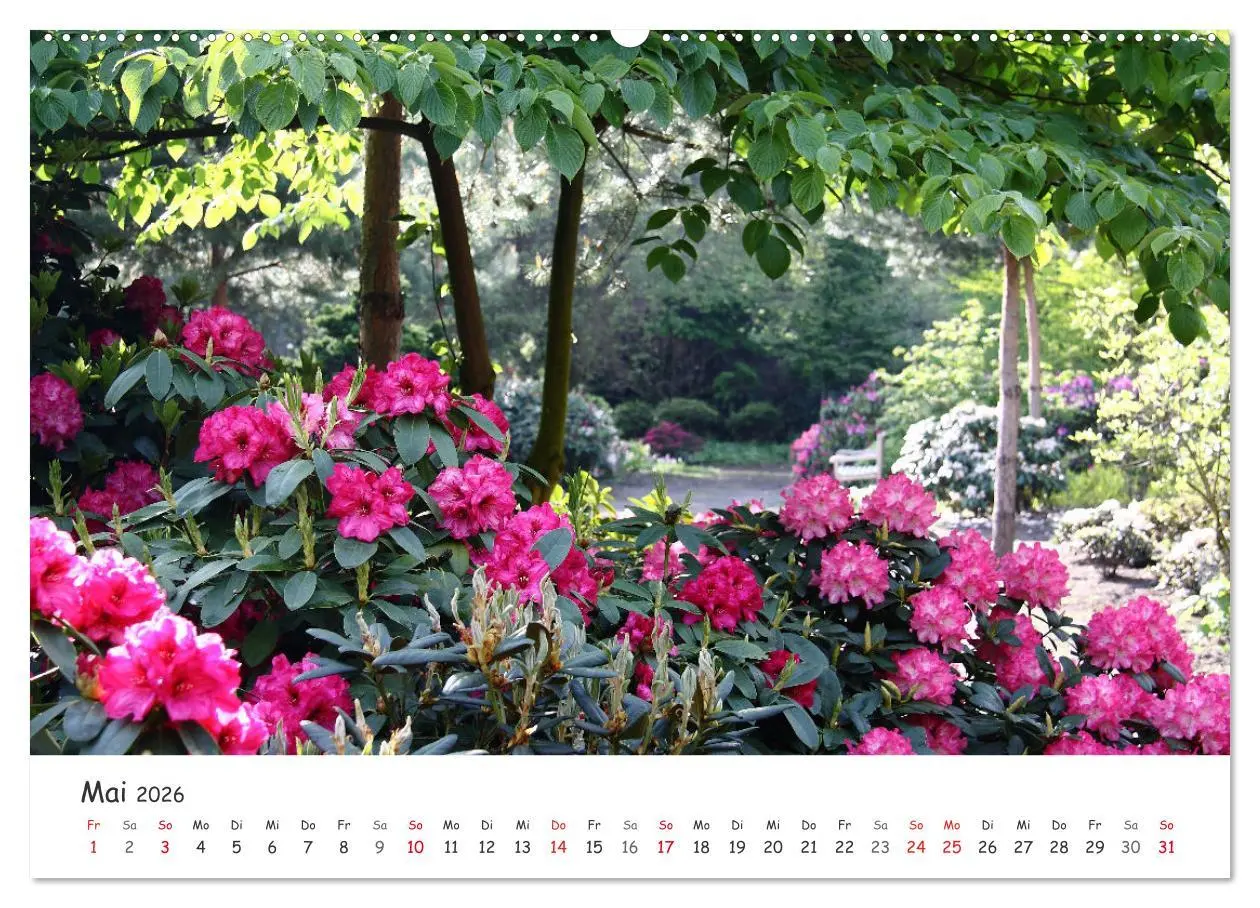 Bild: 9783457644195 | Zauberhaftes Ammerland (Wandkalender 2026 DIN A2 quer), CALVENDO...