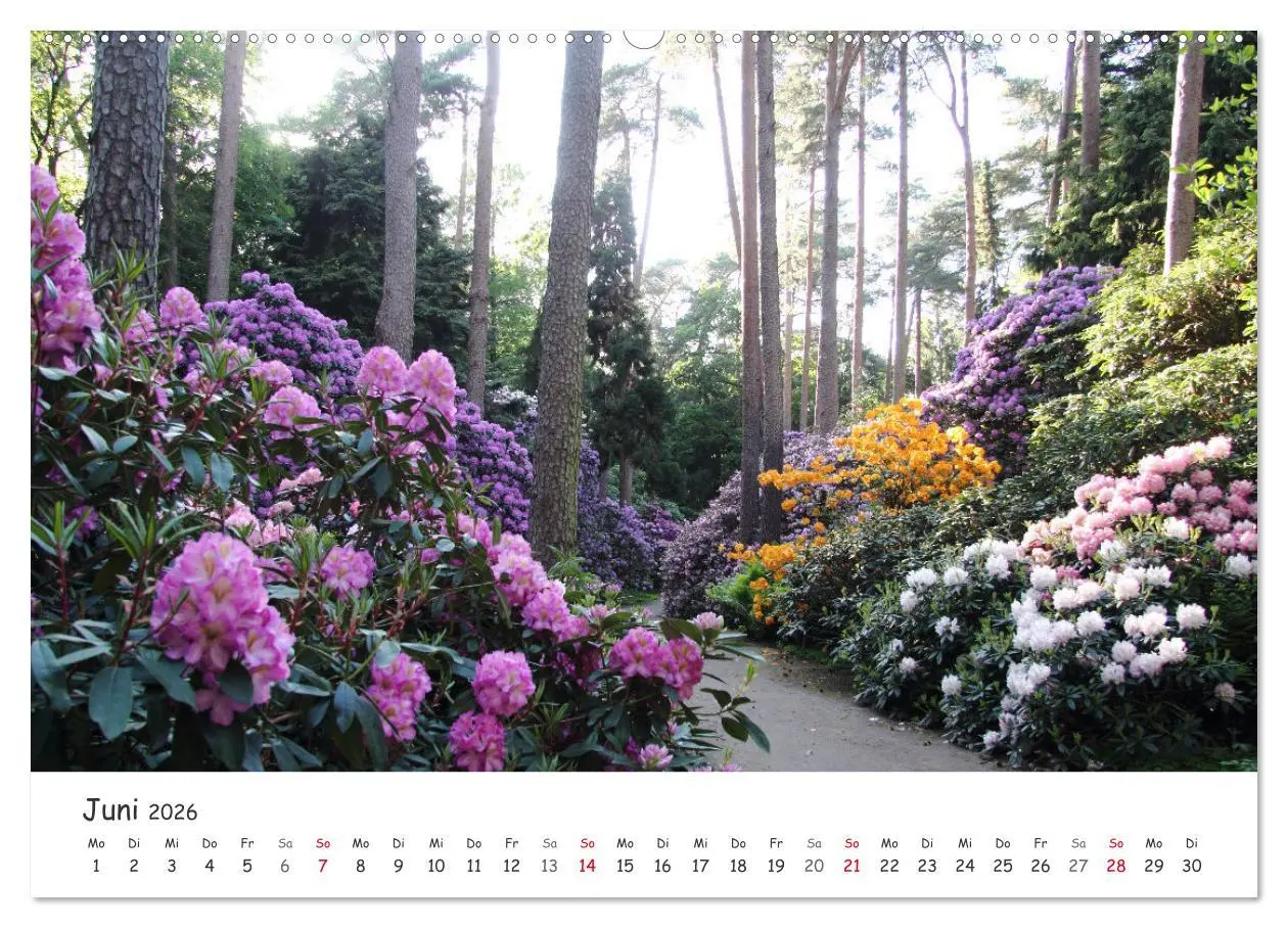 Bild: 9783457644195 | Zauberhaftes Ammerland (Wandkalender 2026 DIN A2 quer), CALVENDO...