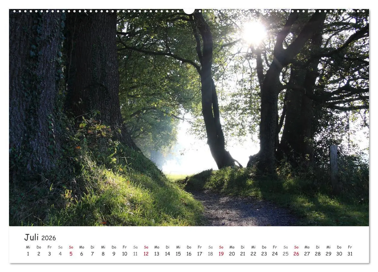 Bild: 9783457644195 | Zauberhaftes Ammerland (Wandkalender 2026 DIN A2 quer), CALVENDO...
