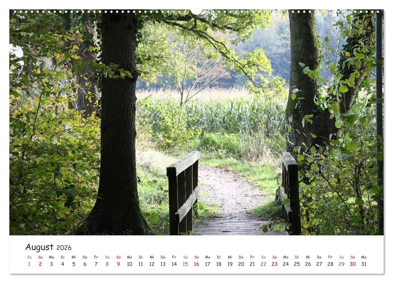 Bild: 9783457644195 | Zauberhaftes Ammerland (Wandkalender 2026 DIN A2 quer), CALVENDO...