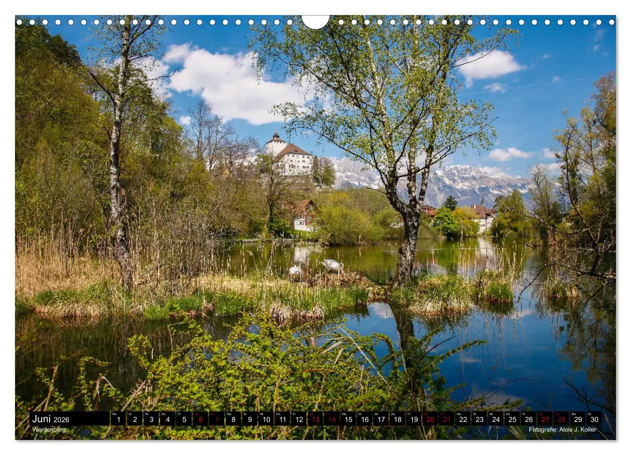 Bild: 9783457884195 | Das Rheintal 2026 (Wandkalender 2026 DIN A3 quer), CALVENDO...