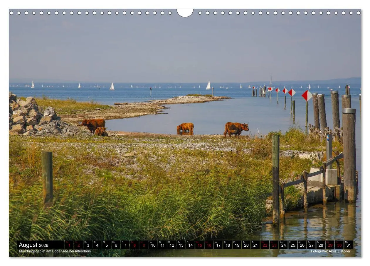 Bild: 9783457884195 | Das Rheintal 2026 (Wandkalender 2026 DIN A3 quer), CALVENDO...