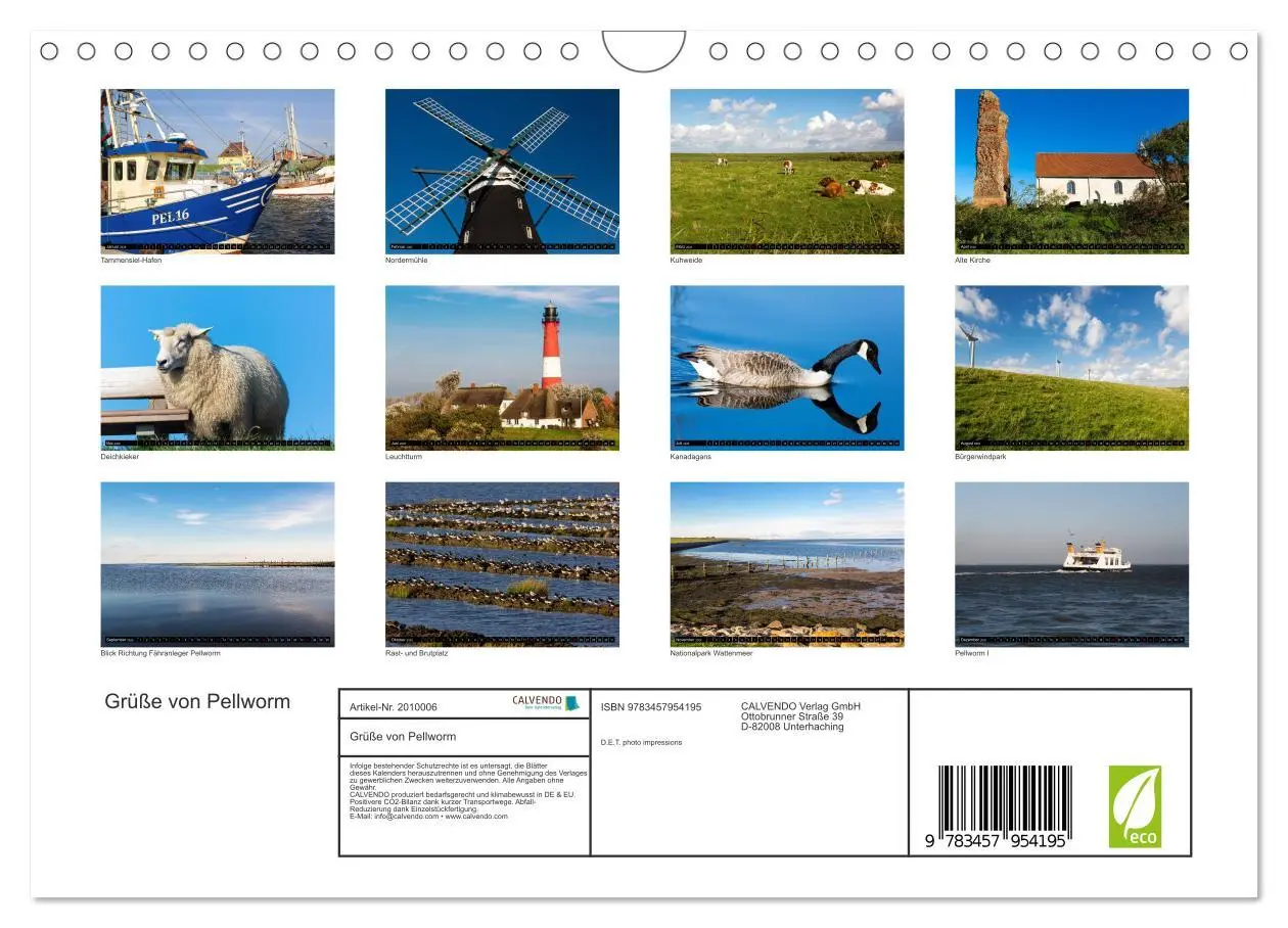 Bild: 9783457954195 | Grüße von Pellworm (Wandkalender 2026 DIN A4 quer), CALVENDO...